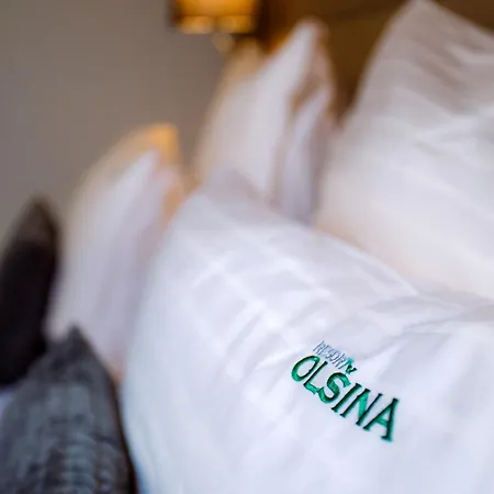 Hotel Olsina Horní Planá