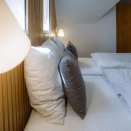 Olsina Hotel Horní Planá