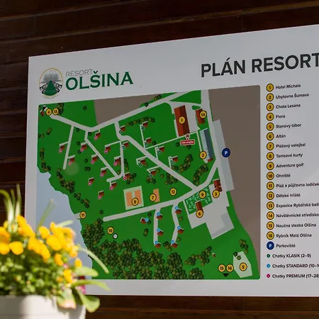 Olsina Hotel 3*