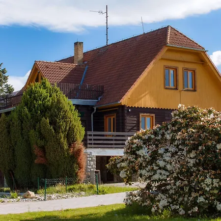 Hotel Olsina Horní Planá
