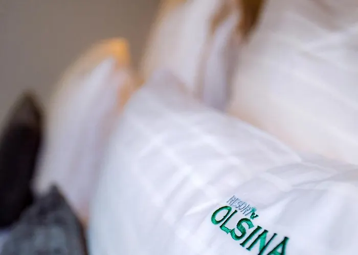 호텔 Olsina Horní Planá